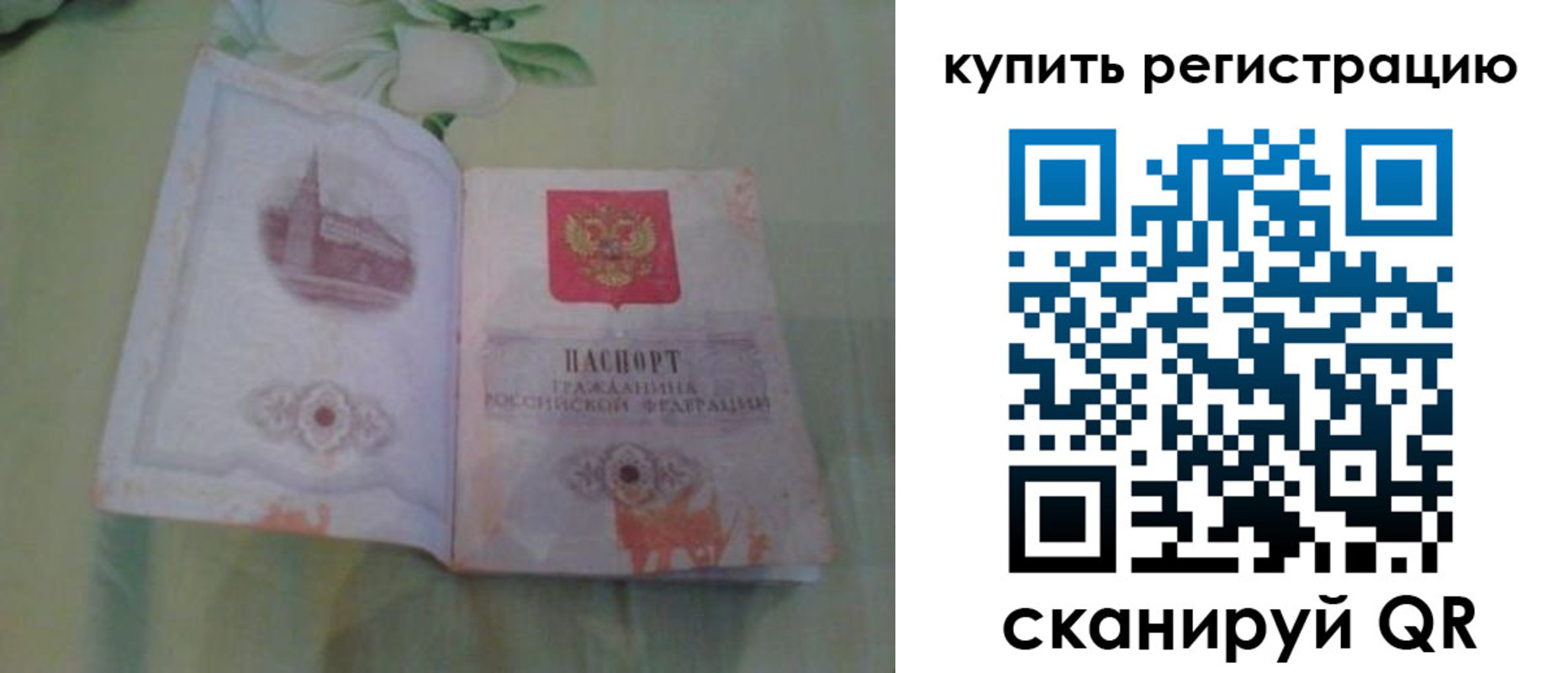 прописка регистрация в Курской области
